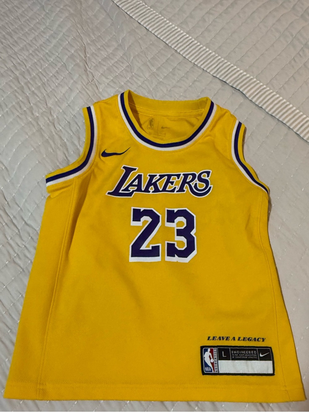 Nike Kids Lakers Yellow and Purple Basketball Jersey #23